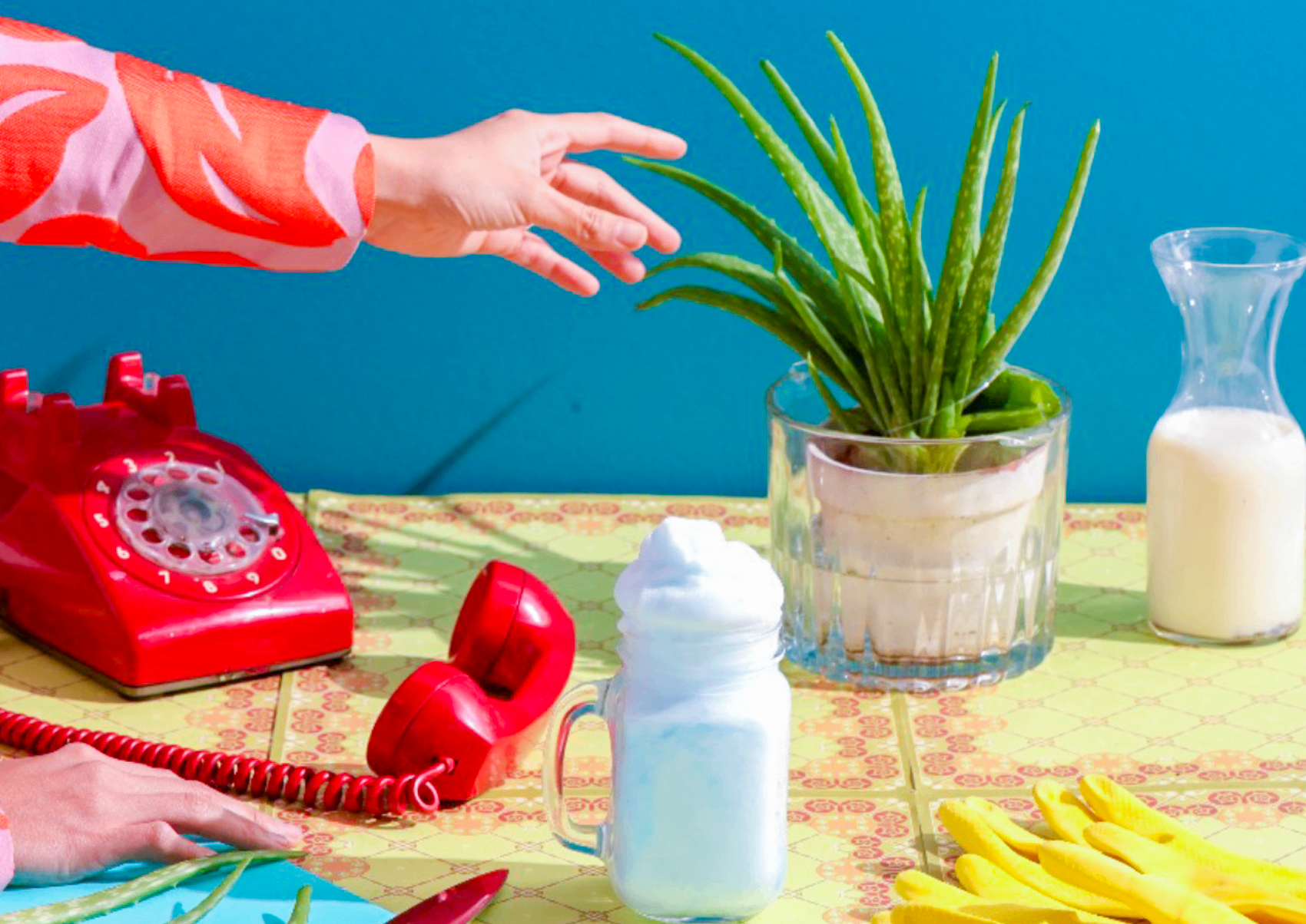 Creative still-life set with red rotary phone, aloe plant, and reaching hands